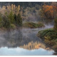 Sweet Creek Misty Morning
