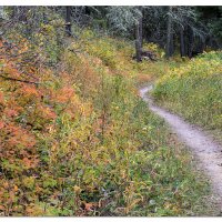 Red Eagle Lake Trail