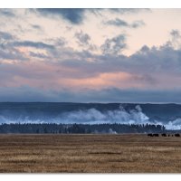 Lower Geyser Basin Overlook