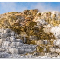 Mammoth Color Show