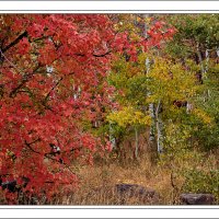 181008-9251-5DS R