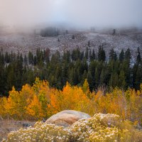 Winter Meets Autumn