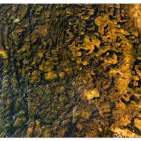 Geyser Goo