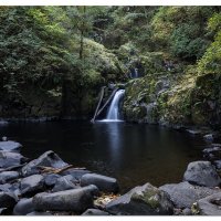 Sweet Creek Falls