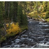 Little Firehole River