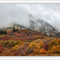 181008-9220-5DS R