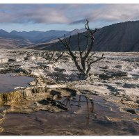 Mammoth Hot Springs Pools