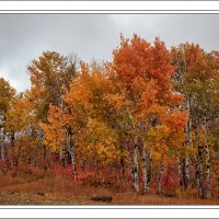 181008-9227-5DS R