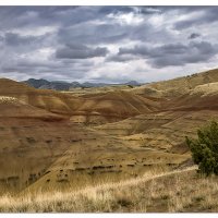 Painted Hills Gold