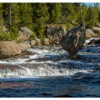 Gibbon Rapids