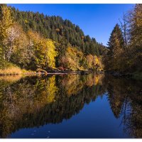 Siuslaw Reflections