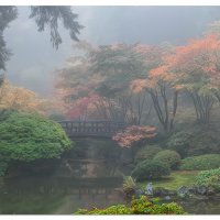 The Moon Bridge