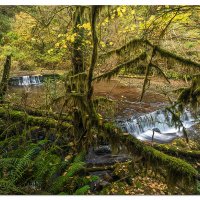 Ledge Falls