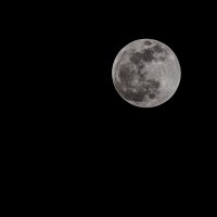 LRCC_LunarEclipse_20190120_FW_TAP32479