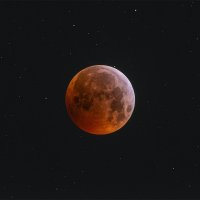 Blood Moon