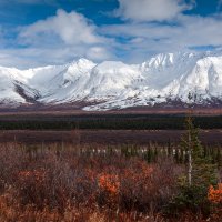 LRCC_DenaliNationalPark_FW_sRGB_IMG_2344_5_co