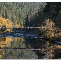Siuslaw River Footbridge