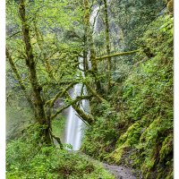 Elowah Falls