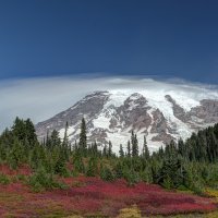 LRCC_MtRainerRangerStation_FW_sRGB_TAP28563_4_5_fuN