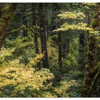 Ten Mile Creek Rd