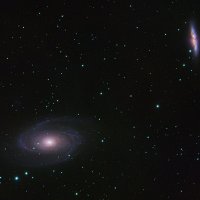 M81, M982