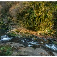 Sweet Creek Cascades