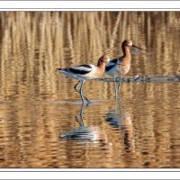 190317-9661-5DS R Crop