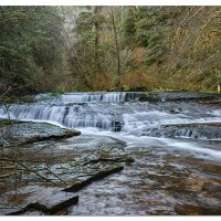 Sweet Creek - Ledge Falls