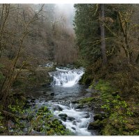 Sweet Creek - Second Falls March 2019