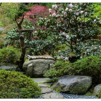A Springtime View