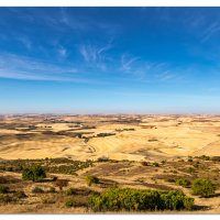 Steptoe Butte View