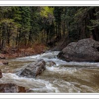 190428-9752-5DS R