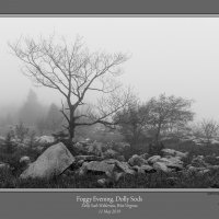 Foggy Evening Dolly Sods