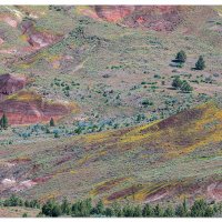 Blue Basin Overlook Trail