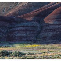 Morning Light in the Painted Hills
