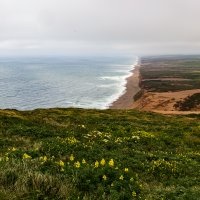 PSCC_PointReyesBeachVew2_FW_TAP33512