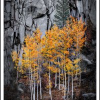 Bishop Canyon Color