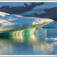 Jokulsarlon, Iceland.