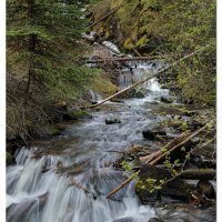 East Fork Wallowa River