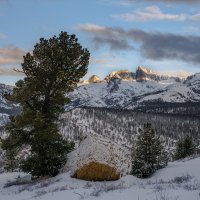 A While Yet Until Spring