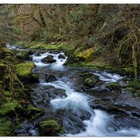 Above Anise Falls