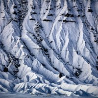 Winter Wall