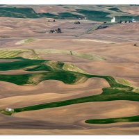 Palouse Hills