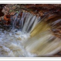 190629-10557-5DS R