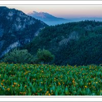 190705-10714-5DS R