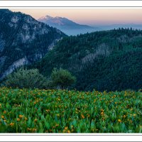 190705-10714-5DS R