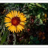 190723-10947-5DS R