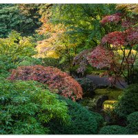 Fall Colors in the Garden