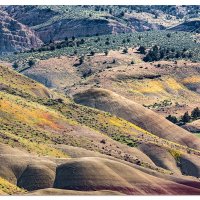 Painted Hills -The View Away