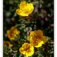 190726-11282-5DS R